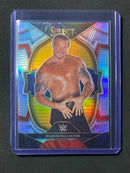 2023 Panini Select WWE Diamond Dallas Page Concourse Silver