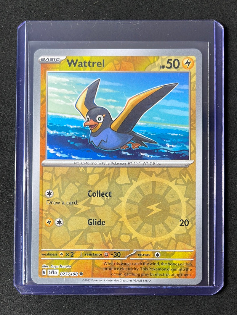 Pokemon TCG Scarlet & Violet Wattrel Reverse Holo 77/198