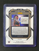 2023 Prizm WWE Kayden Carter Blue Prizm 117/199