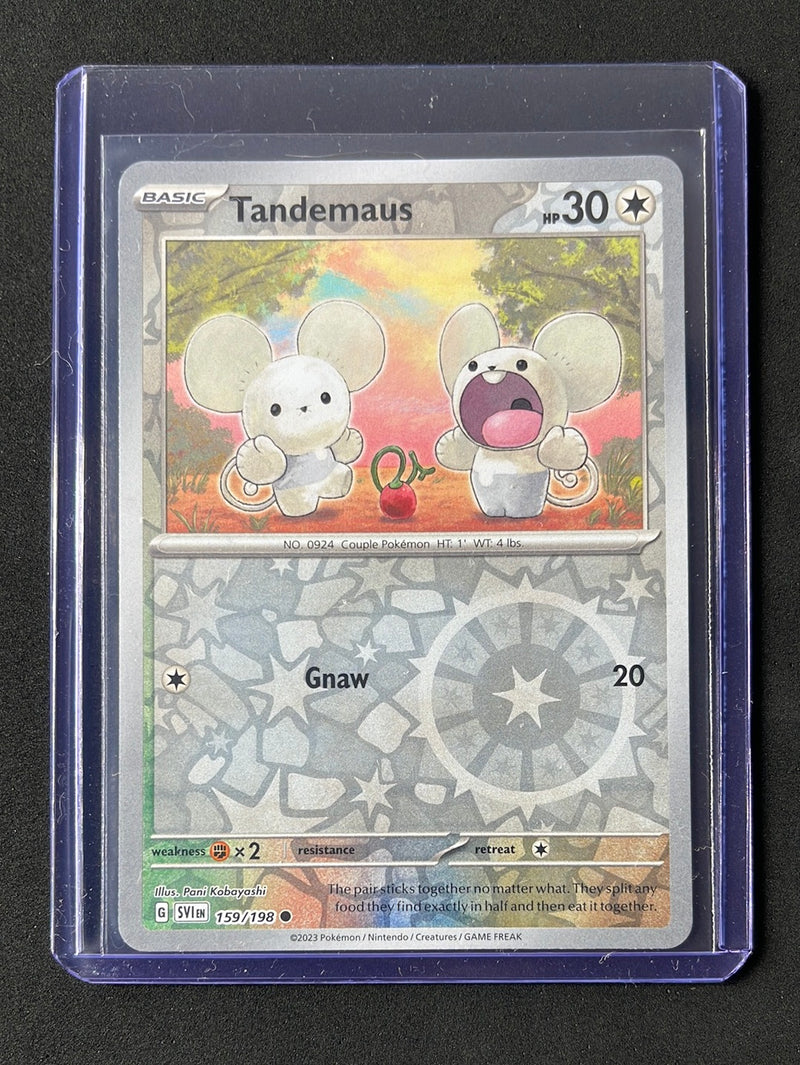 Pokemon TCG Scarlet & Violet Tandemaus Reverse Holo 159/198