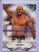 2021 Topps WWE Cesaro