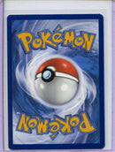 Pokemon TCG Crown Zenith Bidoof GG29/GG70