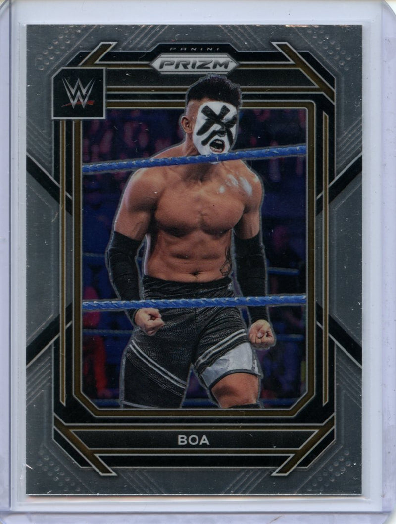 2023 Prizm WWE Boa
