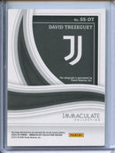 2023-24 Panini Immaculate David Trezeguet Shadowbox Signatures 53/99