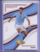 2023-24 Panini Immaculate Rodri Ruby 17/19