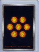 Panchia, Warrior Of Universe 3 - Power Absorbed BT20-017 C Foil