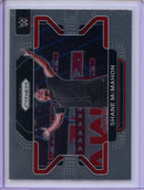 2022 Prizm WWE Shane Mcmahon