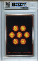 2025 Wish For Shenron Son Gohan : SH SCR