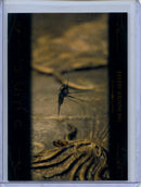 2024 Topps Dune Chrome The Hunter-Seeker