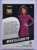 2023 Revolution WWE Miss Elizabeth