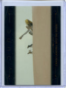 2024 Topps Dune Chrome Crash Landing Into The Desert
