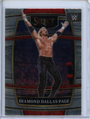 2022 Panini Select WWE Diamond Dallas Page Concourse