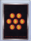 Full Power Vegeta - Union Force