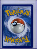 Pokemon TCG Sword & Shield Black Star Promo Bibarel SWSH188