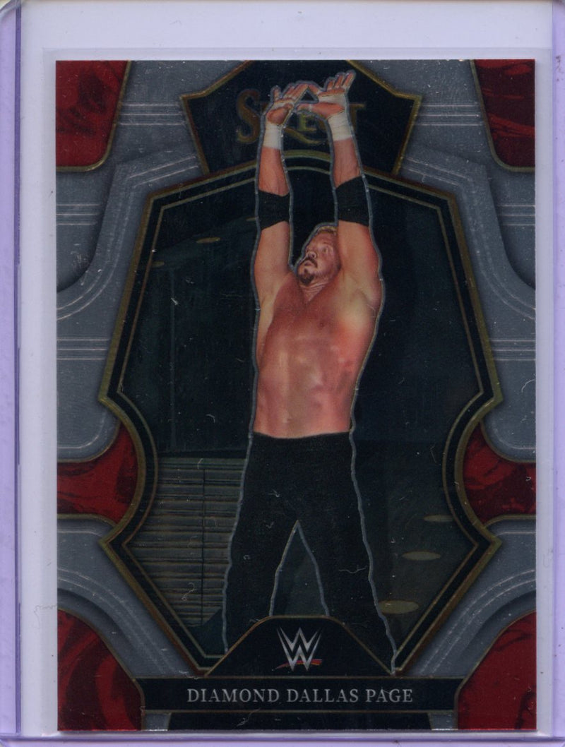 2023 Panini Select WWE Diamond Dallas Page Premier Level