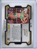 2024 Prizm WWE Brinley Reece