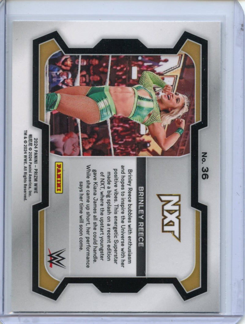 2024 Prizm WWE Brinley Reece