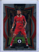 2024-25 Panini Select Premier League Cody Gakpo Terrace