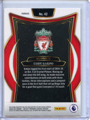 2024-25 Panini Select Premier League Cody Gakpo Terrace