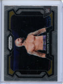 2024 Prizm WWE Shawn Spears