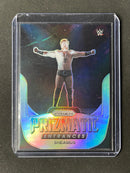 2022 Prizm WWE Sheamus Prizmatic Entrances Silver