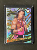 2022 Revolution WWE Bret "Hit Man" Hart Astro