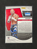 2022 Revolution WWE Ricochet