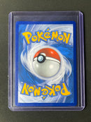 Pokemon TCG Sword & Shield Black Star Promo Pikachu V-Union SWSH142