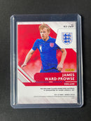 2021-22 Panini Donruss Road To Qatar James Ward-Prowse Kit Series