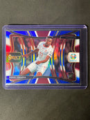 2020 Panini Select UEFA Euro Soccer Denis Zakaria Mezzanine Tri-Color